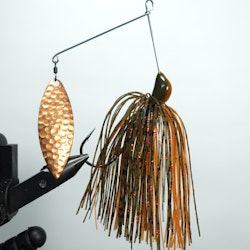 The Downsizer - Copperkin Orange