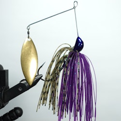 The Downsizer - Special Junebug