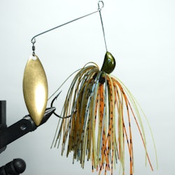 The Downsizer - Blue Gill