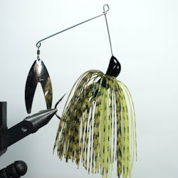 The Downsizer - Yellowfin Perch
