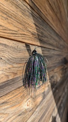 Darkbug