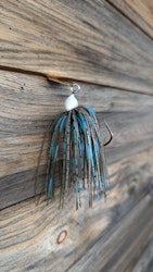 Molted Crayfish - Premium Limited Edition