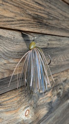 Gobius Shrimpius