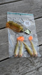 Baby Perch/Bass - ULM BUNDLE