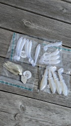 LARGE ULM BUNDLE! - Albinos