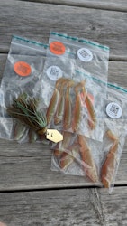 LARGE ULM BUNDLE! - Kiwi Lover