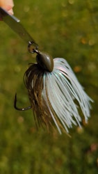 Shampompkin