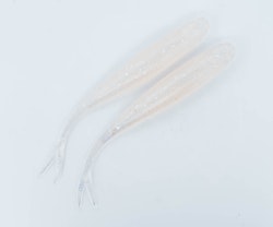 SmelEctrick - The Gimp 12,5cm