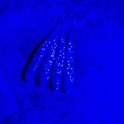 Ugly Bug (SECRET UV EFFECT) - The Gimp 10cm