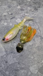 Gigabite v2 Setsuki Ayu 14cm