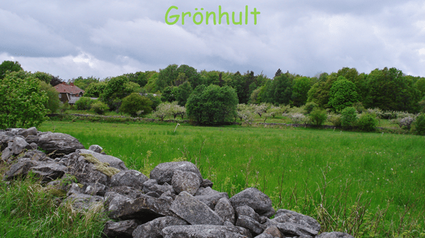 Grönhults fruktodling - Linns Hantverk och Trädgård