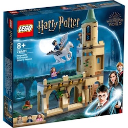 LEGO Harry Potter Hogwarts innergård, 76401