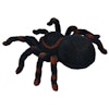 XL Radiostyrd Spindel i svart och brun med ljus rc spider