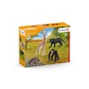 Schleich Wild Life 4-pack Vilda Djur