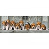 Clementoni Panorama Pussel Beagles (1000 bitar)