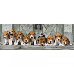 Clementoni Panorama Pussel Beagles (1000 bitar)