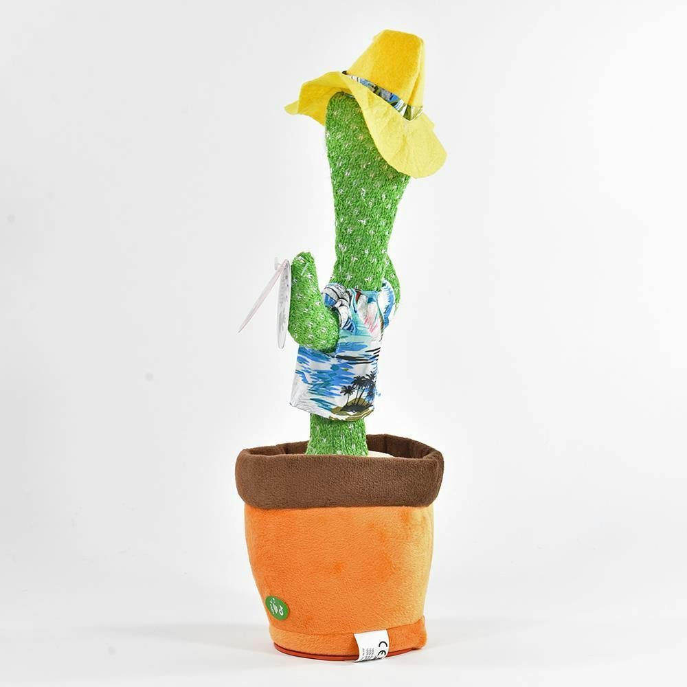 Interaktiv Kaktus med Hawaii Skjorta och Hatt