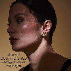Örhänge Vivi SILVER - The Moshi