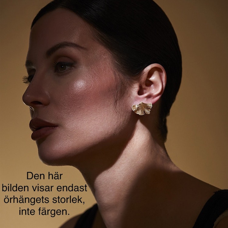 Örhänge Vivi SILVER - The Moshi