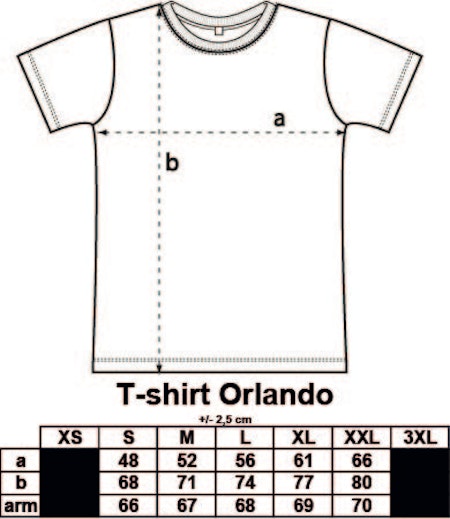 T-shirt Orlando med tryck