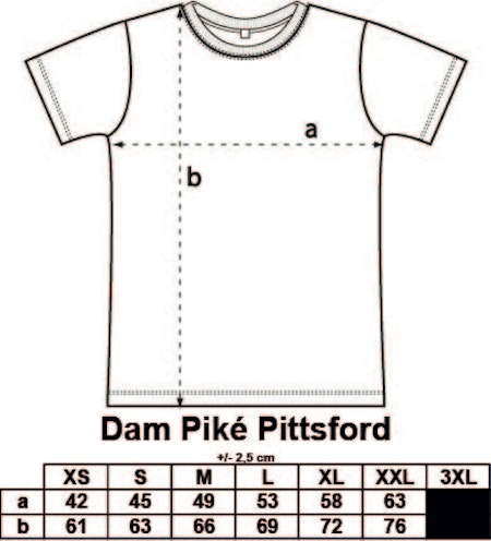 Dam Piké Pittsford med tryck