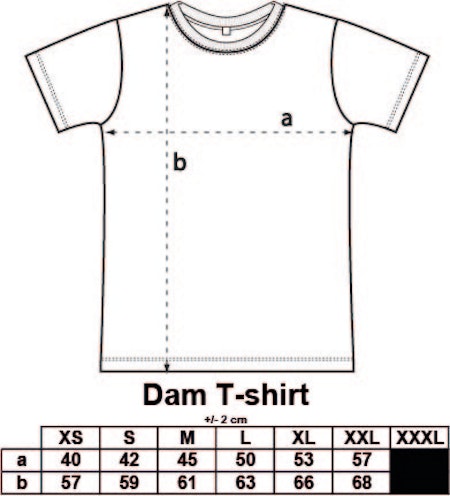 Svart Dam T-shirt "SHK Liten Logga"