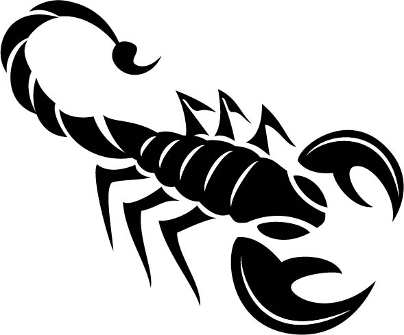 306. Scorpion