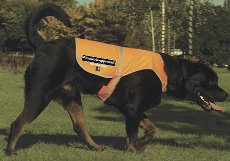 Reflexväst Hund "Förskoleupproret!"