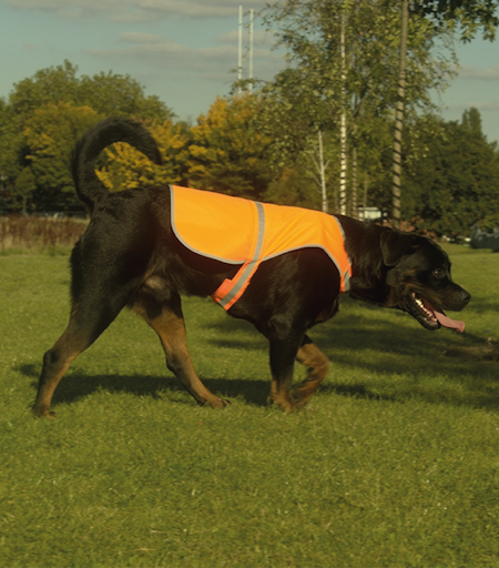 Reflexväst Hund