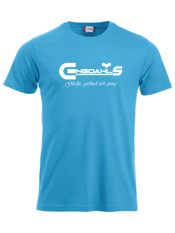 Turkos T-shirt "Glädje, gåshud och gung"