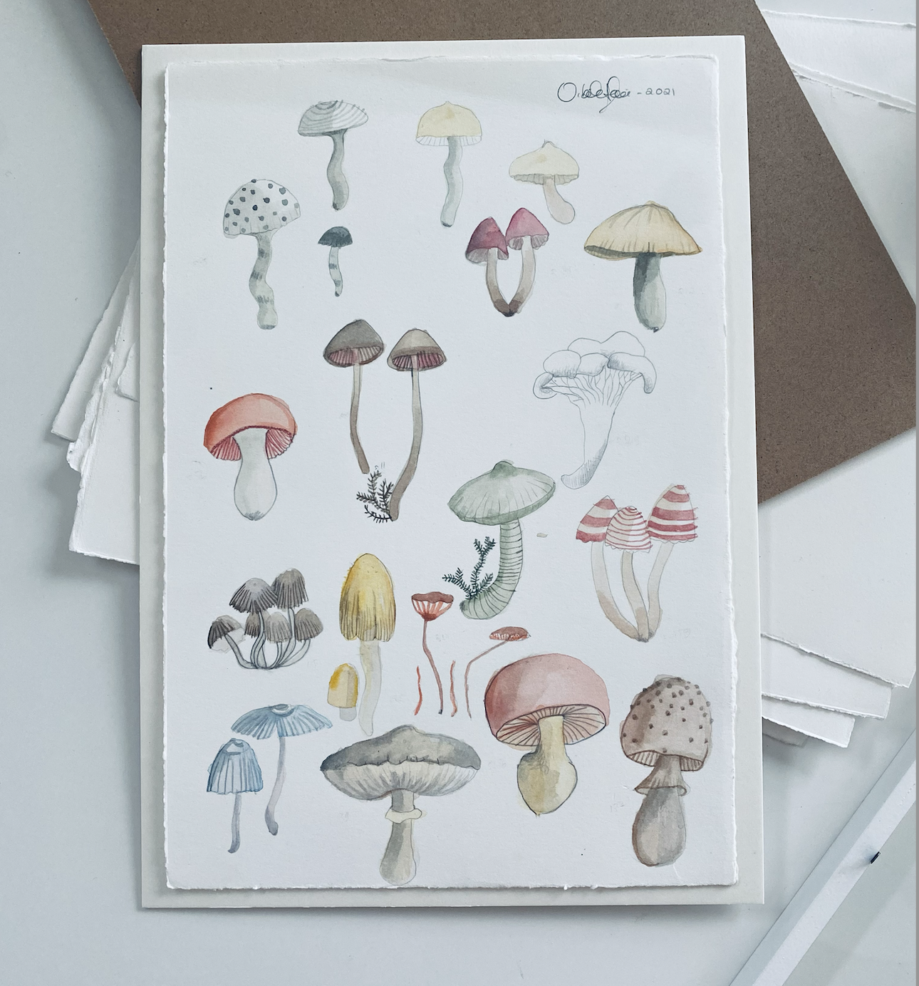 Study of Mushrooms
