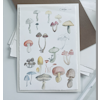 Study of Mushrooms