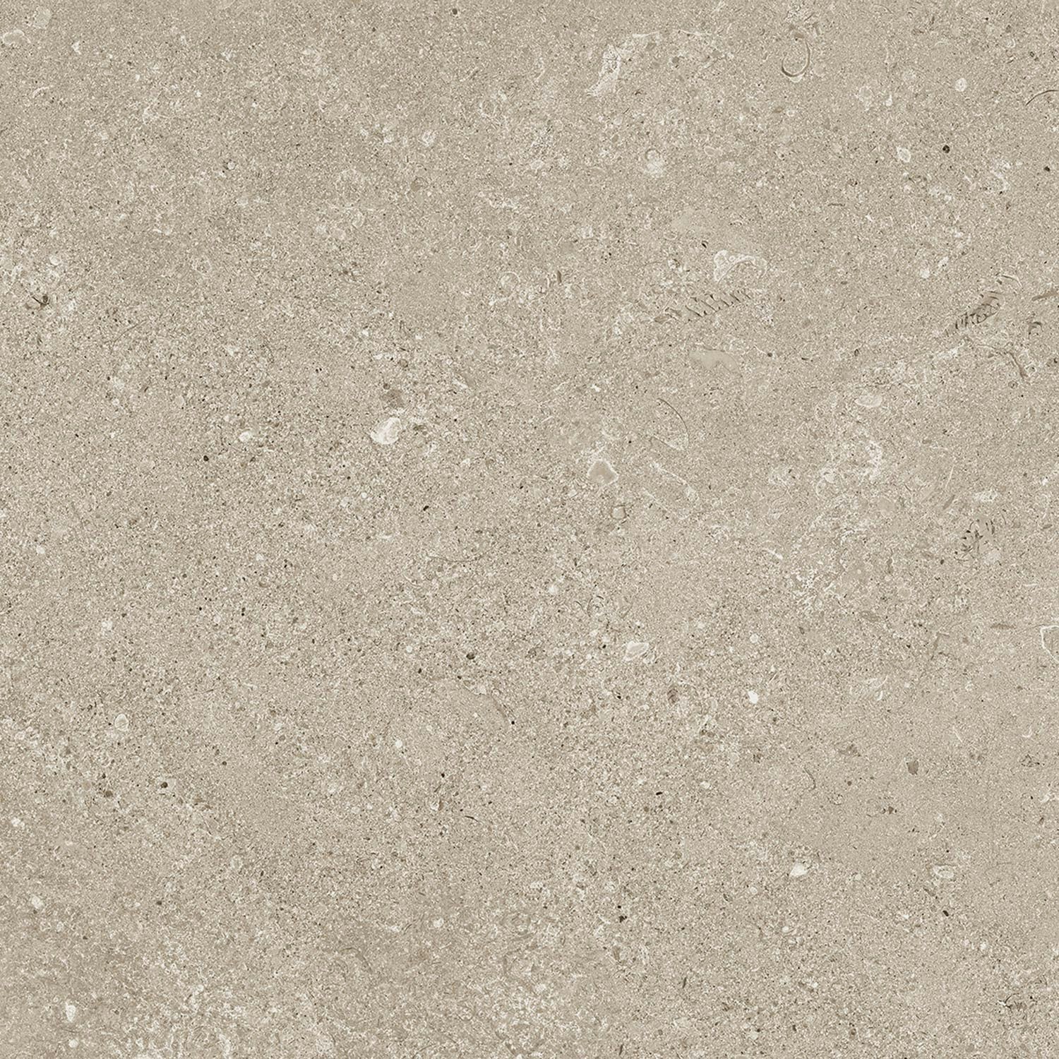 Re Stone