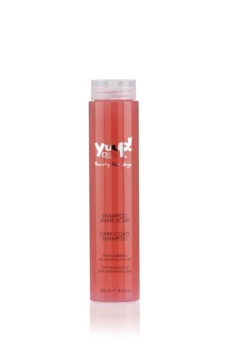 YUUP! DARK COATS SHAMPOO 250ML