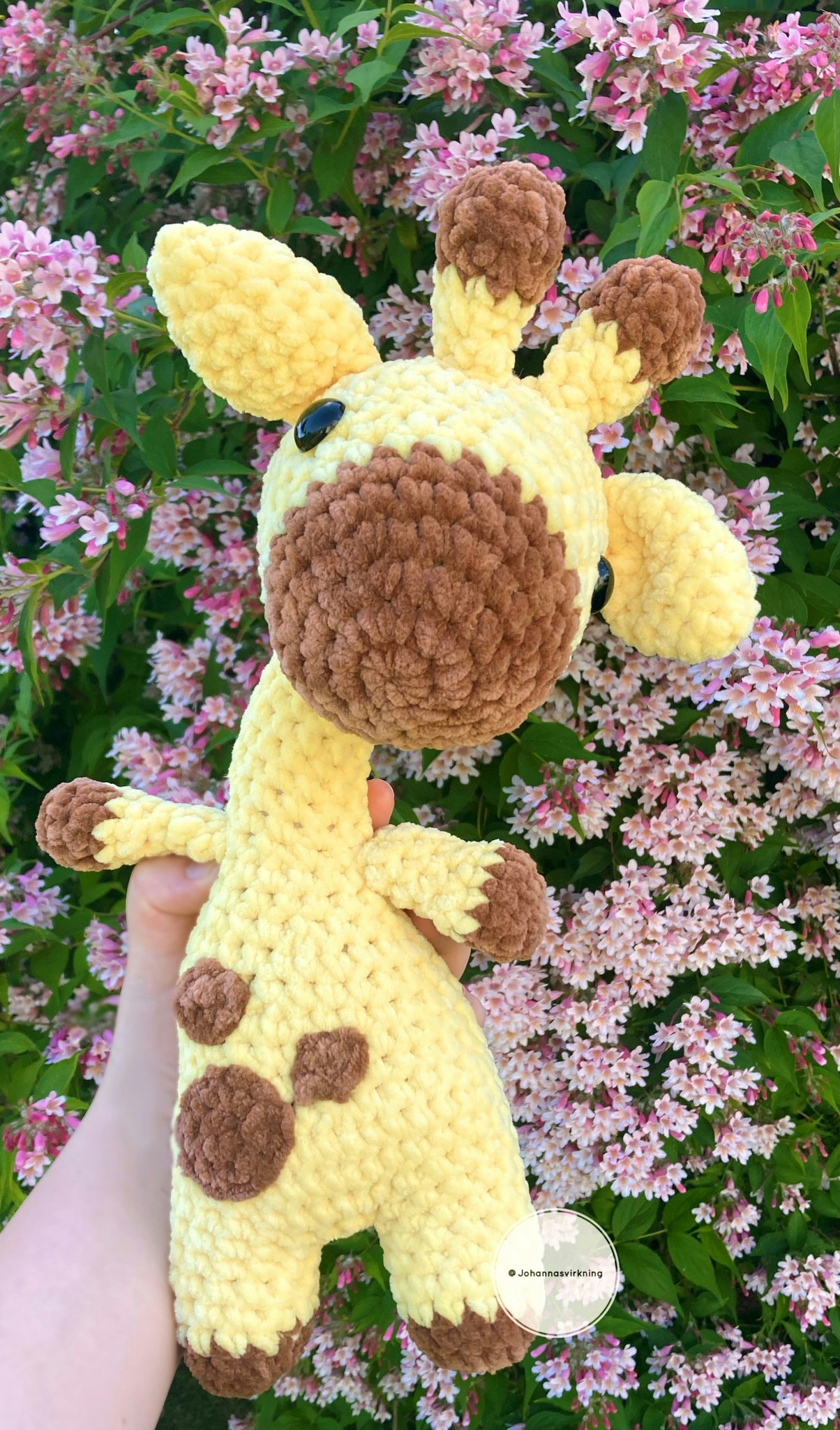 Giraff