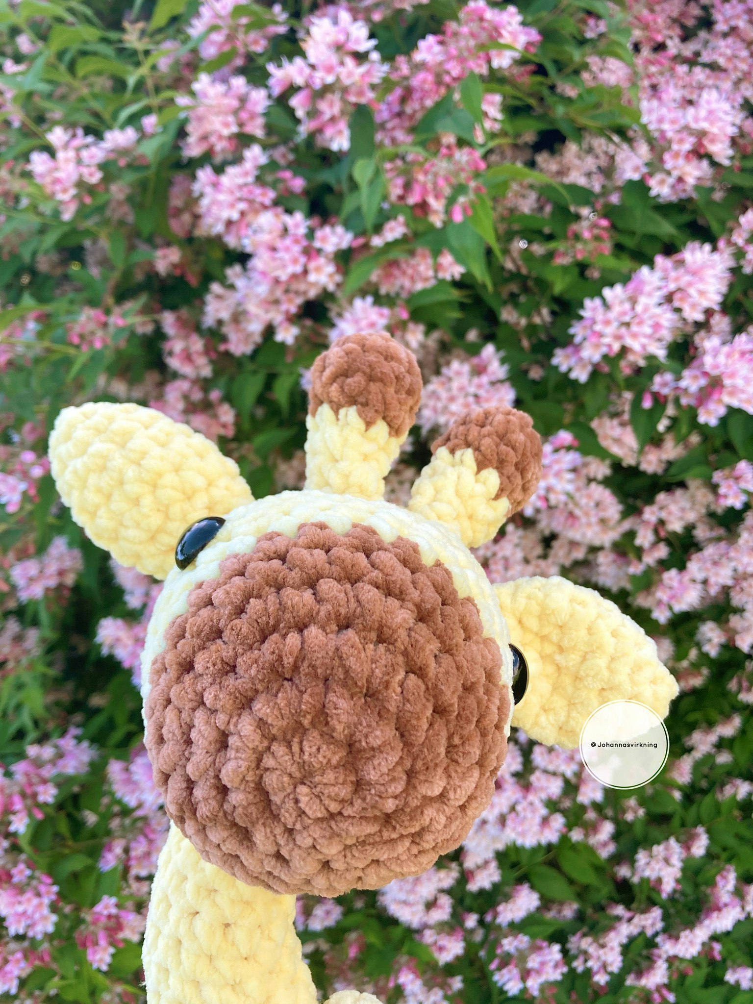 Giraff
