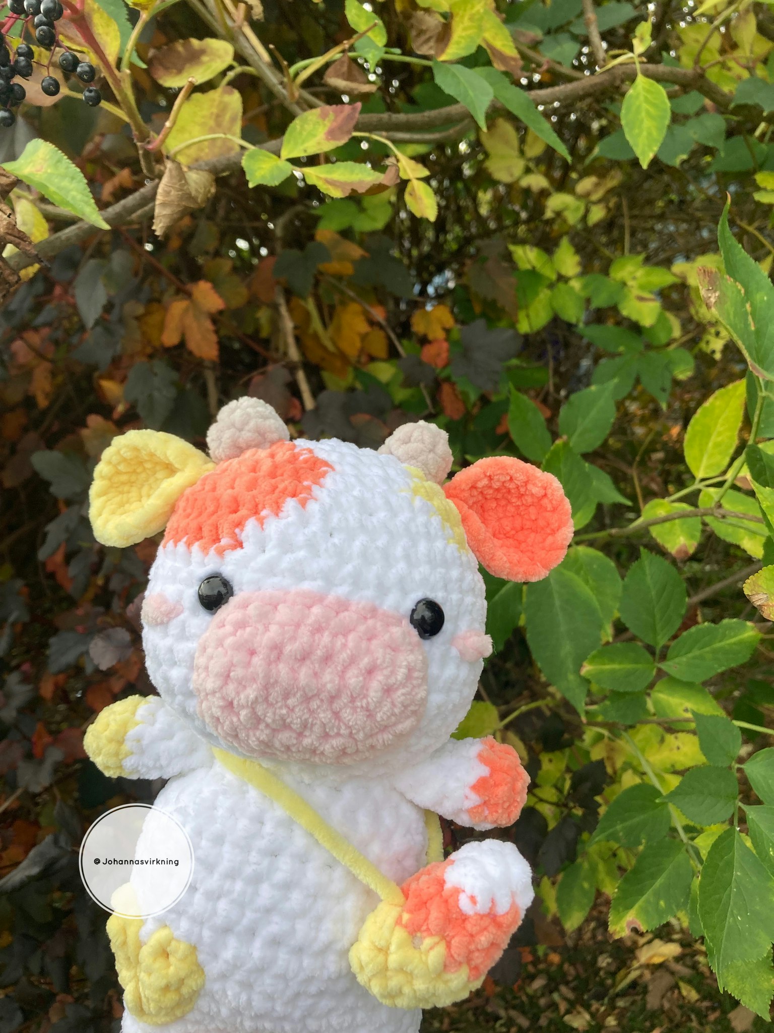 Candy corn ko