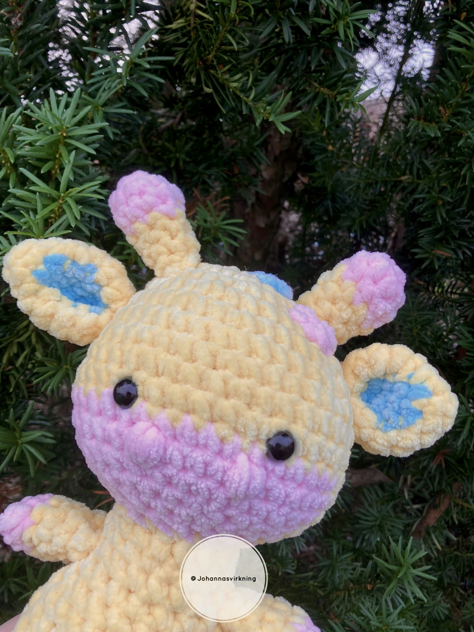 Giraff