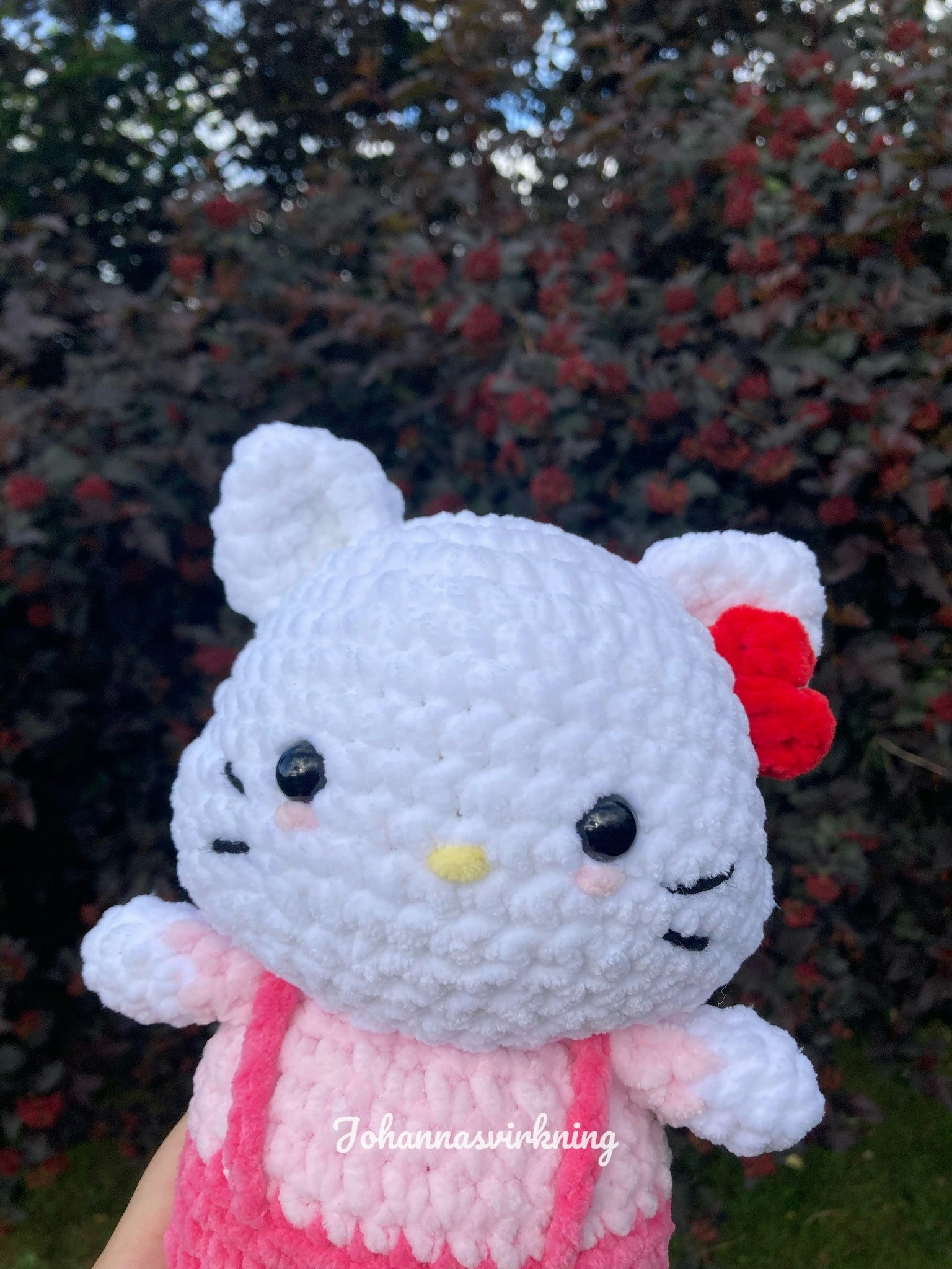 Hello meow meow