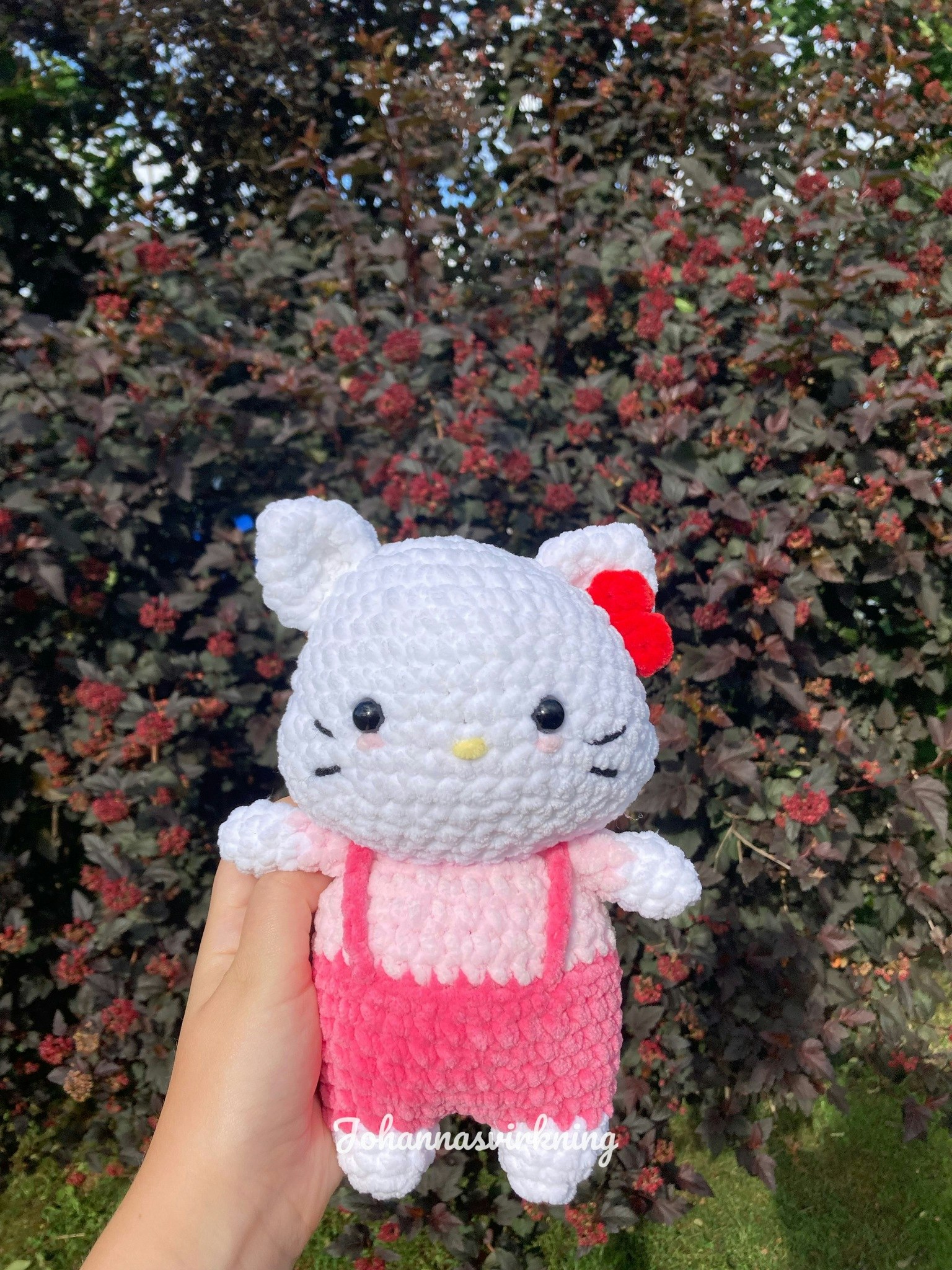 Hello meow meow