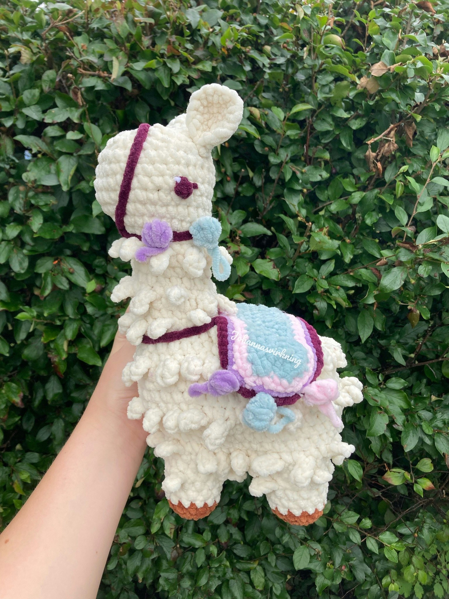 Lama