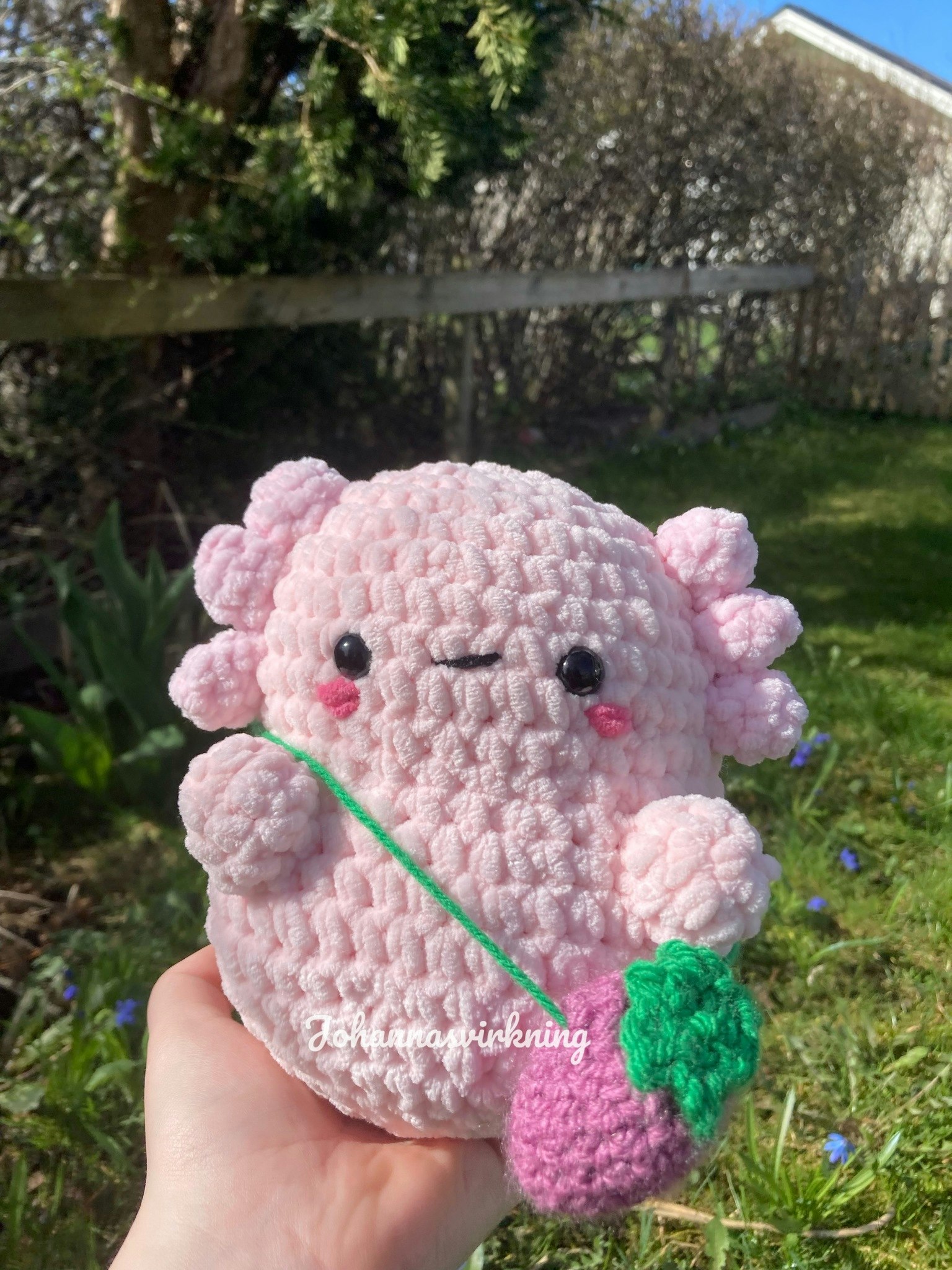 Axolotl