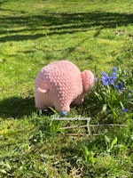 Elefant