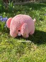 Elefant