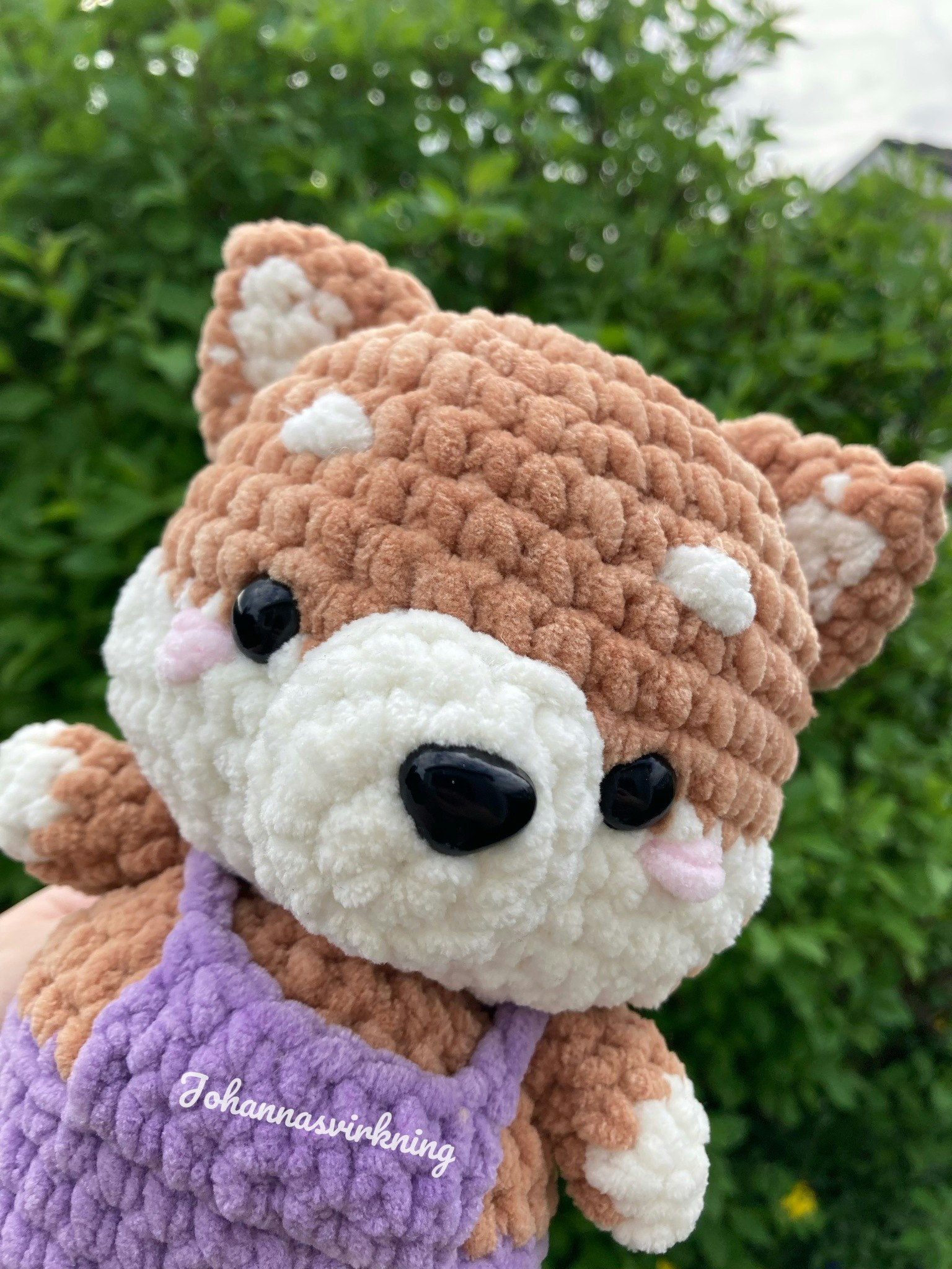 Shiba inu
