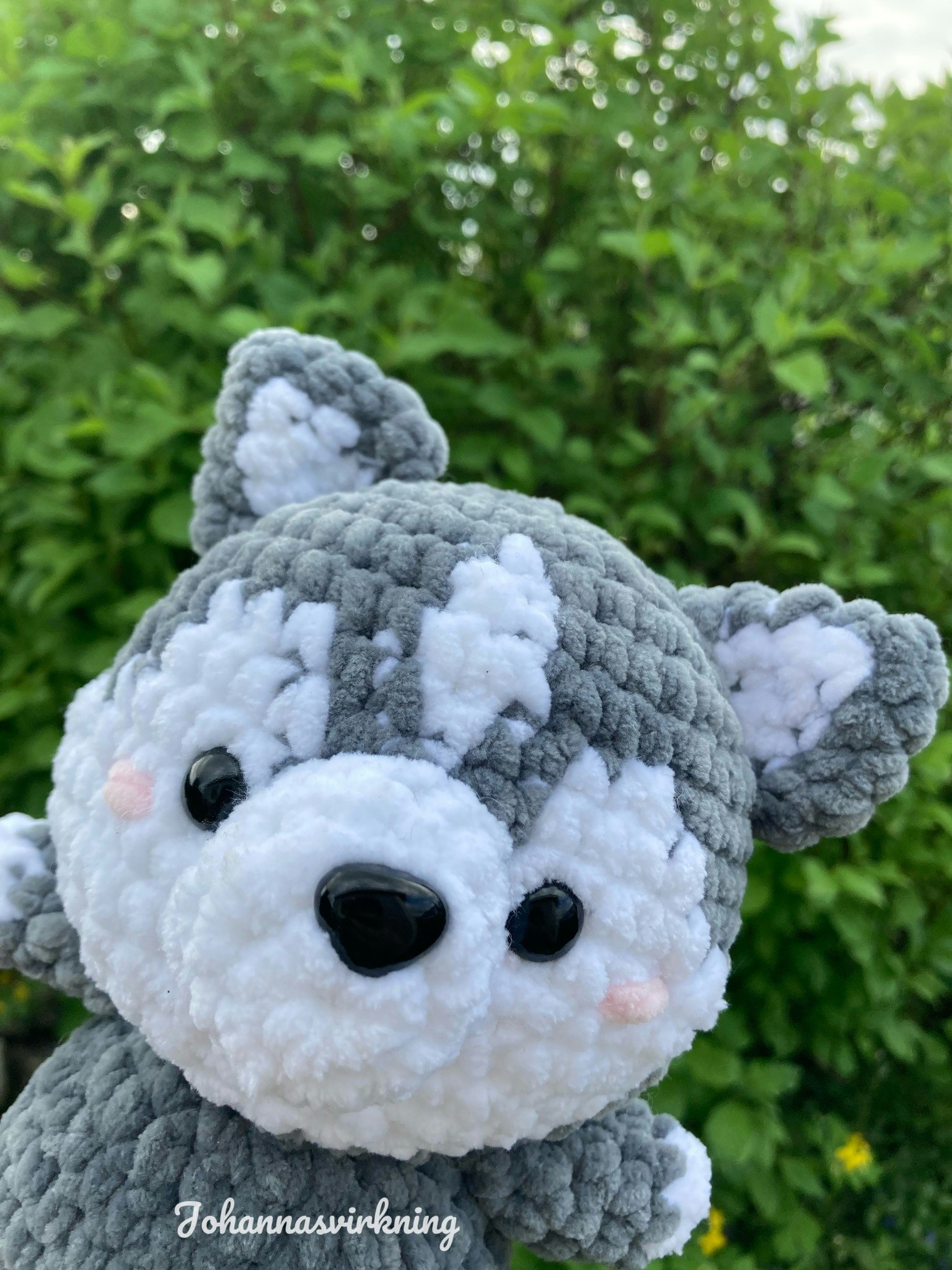Husky