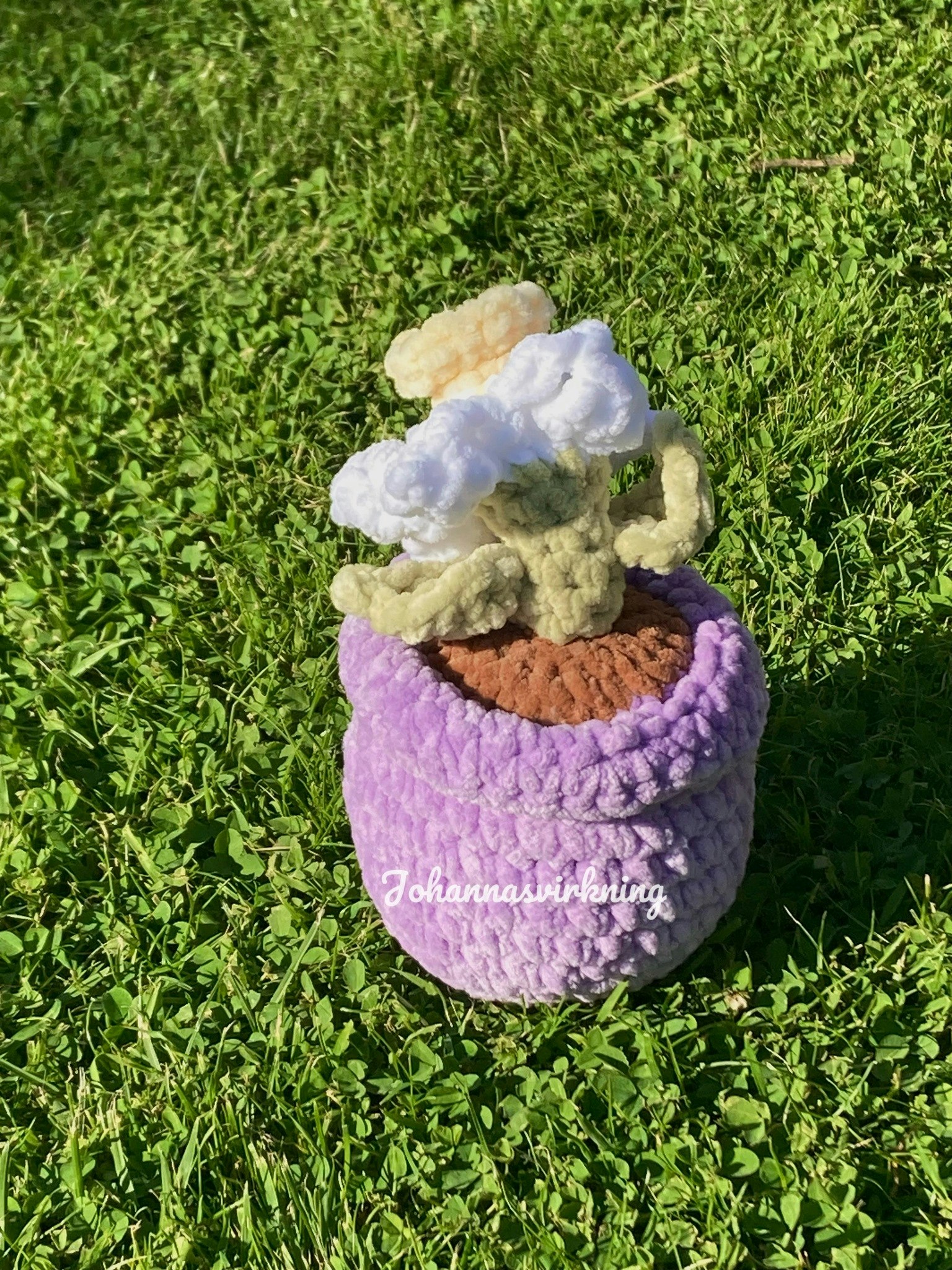 Påsk lilja