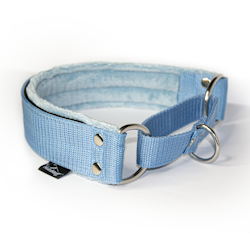 Baby blue martingale - half choke without chain