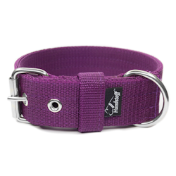 Active Plum 4cm wide plum colored dog collar