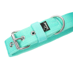Active Mint 4cm wide mint dog collar